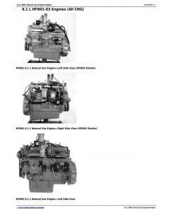CTM87 - Powertech 8.1L 6081 Natural Gas Engines Technical Service Manual